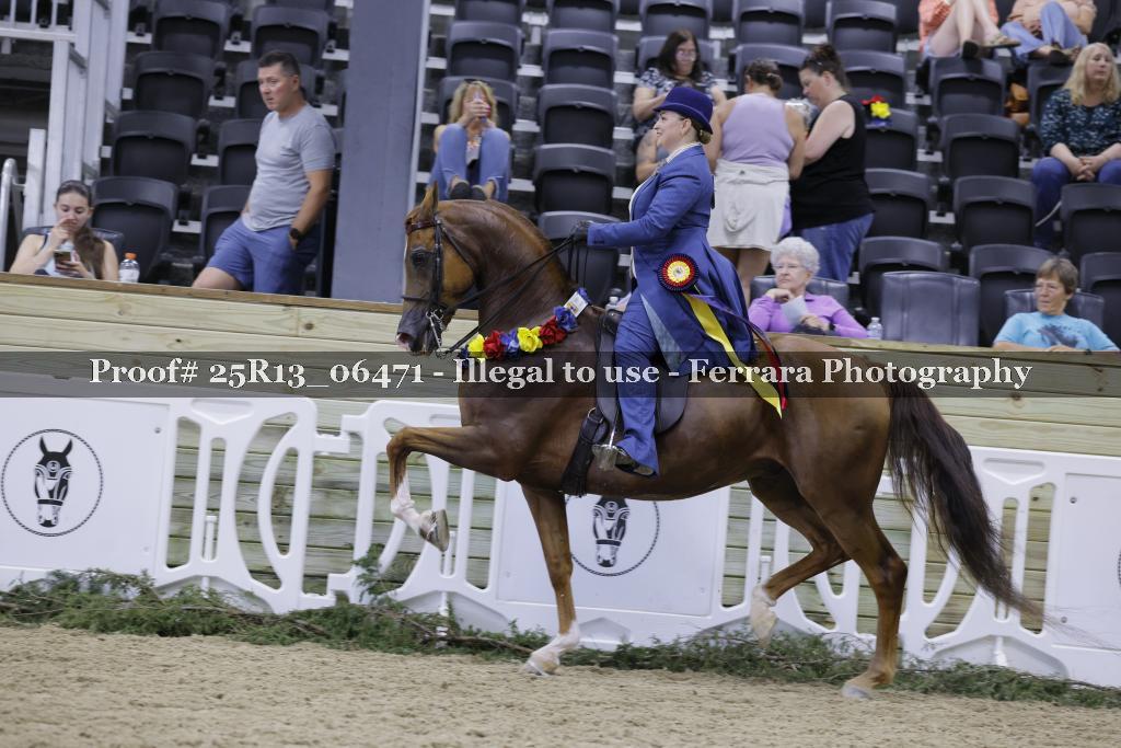 Proof 25R13_06471