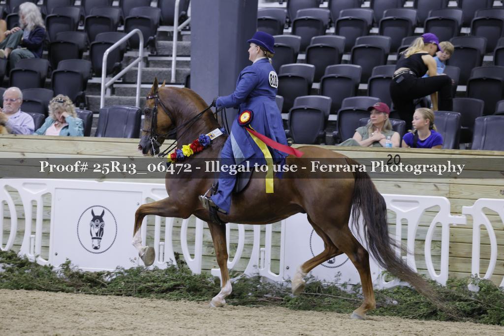 Proof 25R13_06472