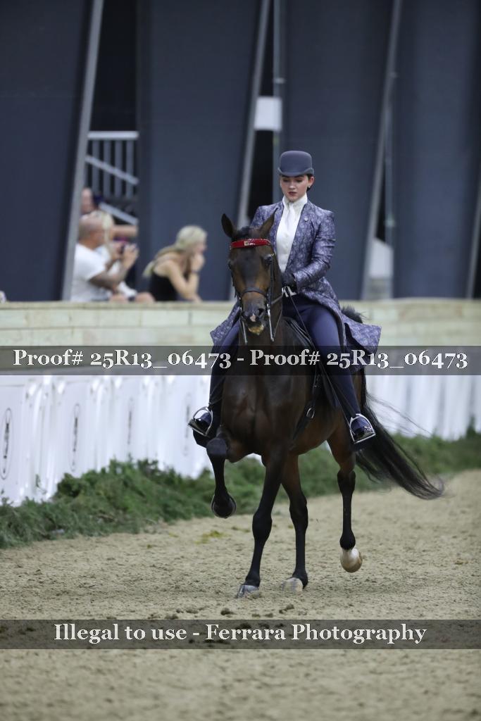 Proof 25R13_06473