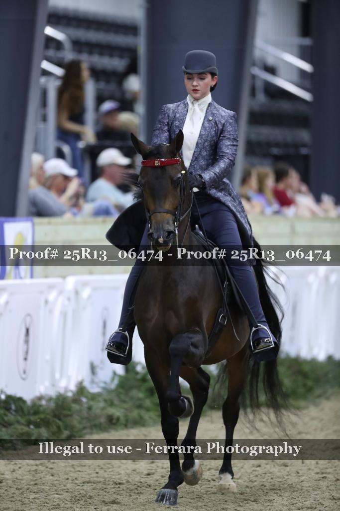 Proof 25R13_06474