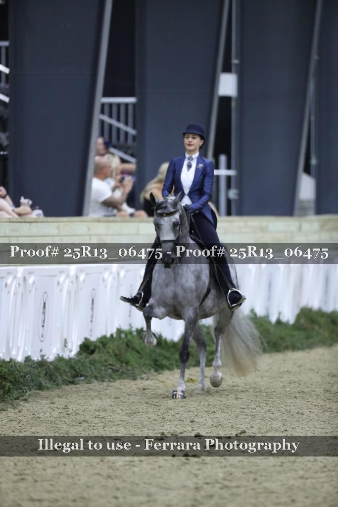 Proof 25R13_06475