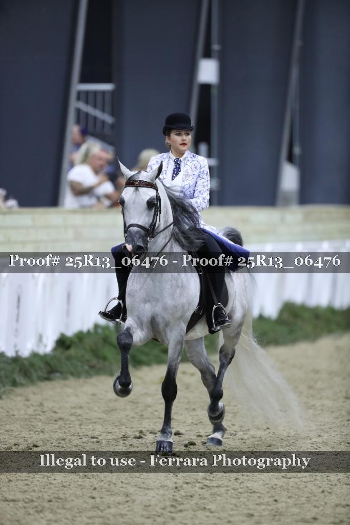 Proof 25R13_06476