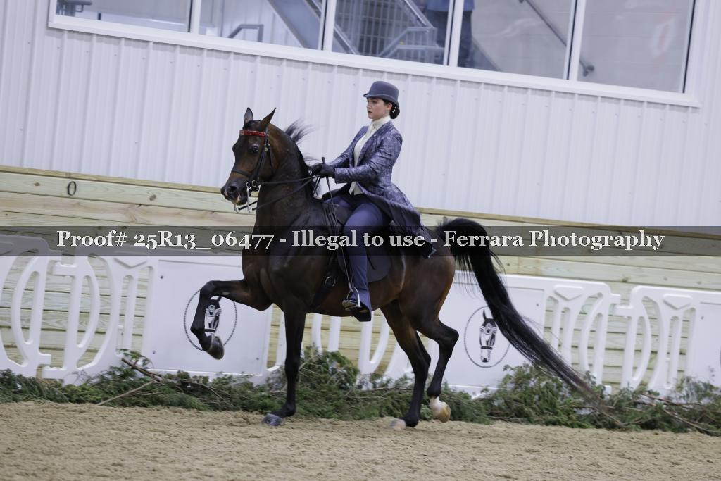 Proof 25R13_06477