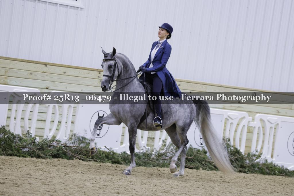 Proof 25R13_06479