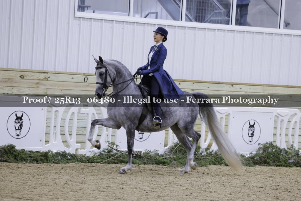 Proof 25R13_06480