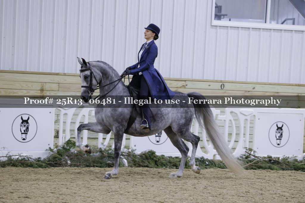 Proof 25R13_06481