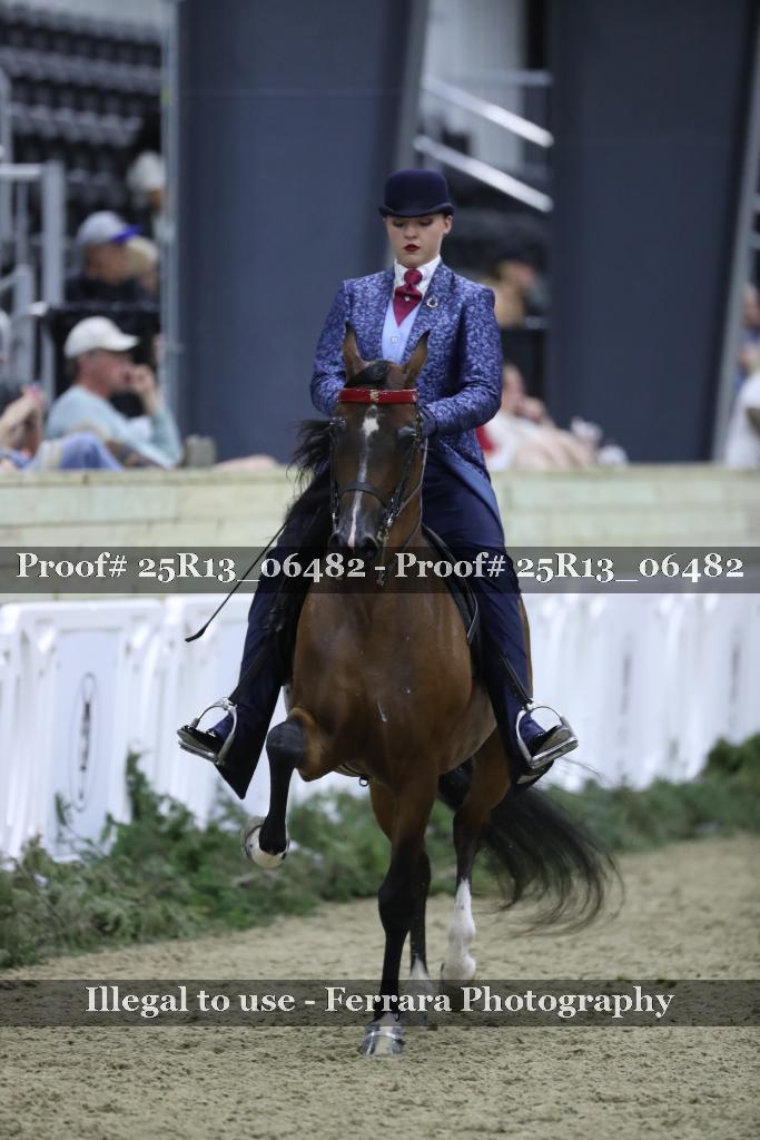 Proof 25R13_06482