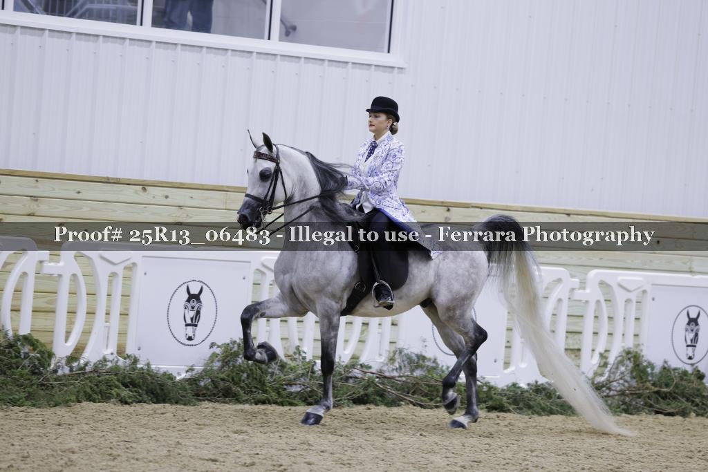 Proof 25R13_06483