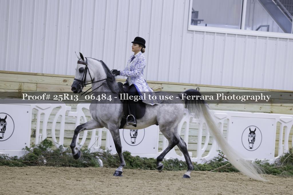 Proof 25R13_06484