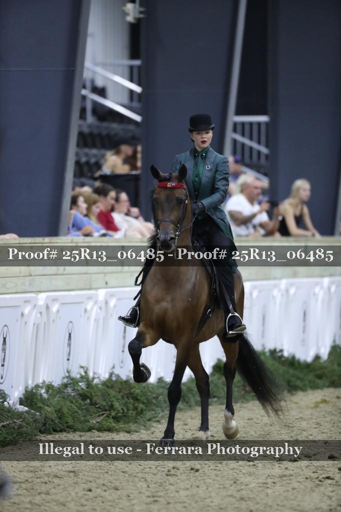 Proof 25R13_06485