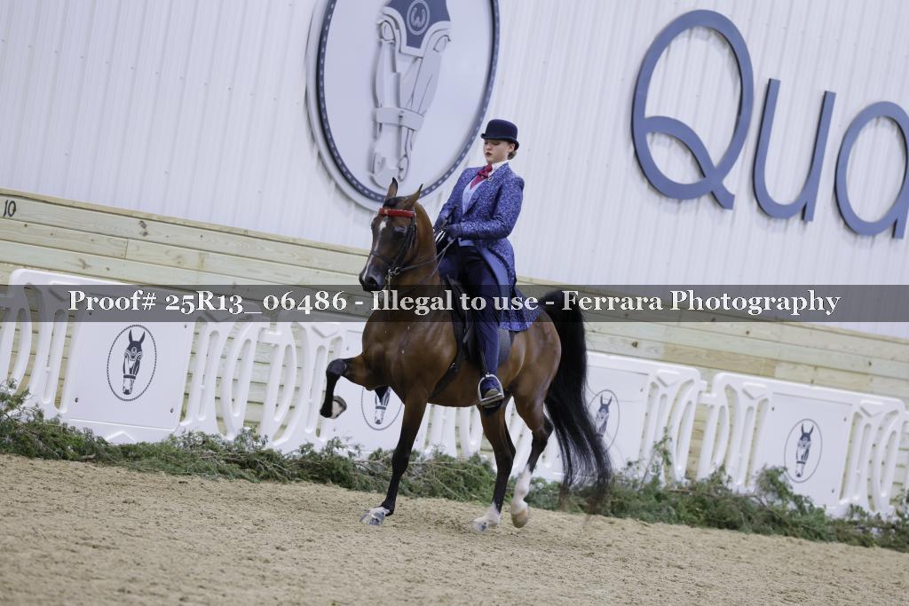 Proof 25R13_06486