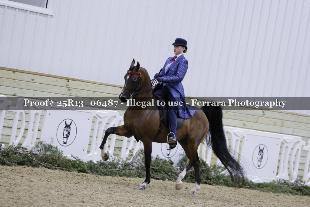 Proof 25R13_06487