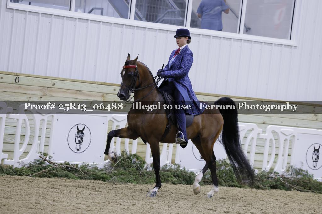 Proof 25R13_06488