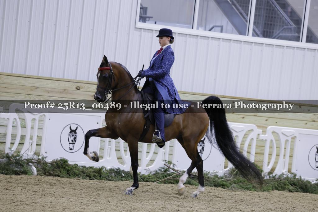 Proof 25R13_06489