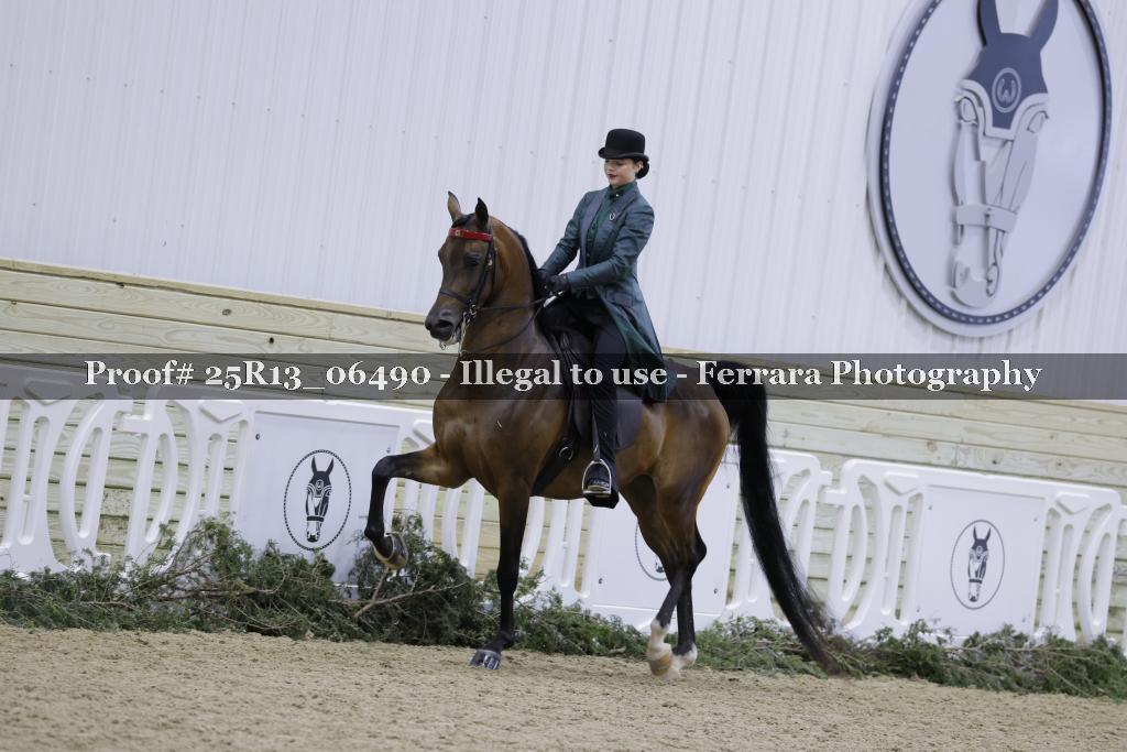 Proof 25R13_06490