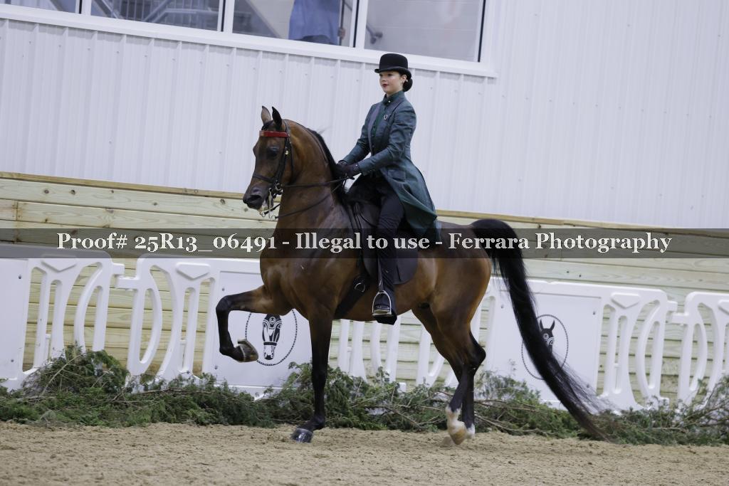 Proof 25R13_06491