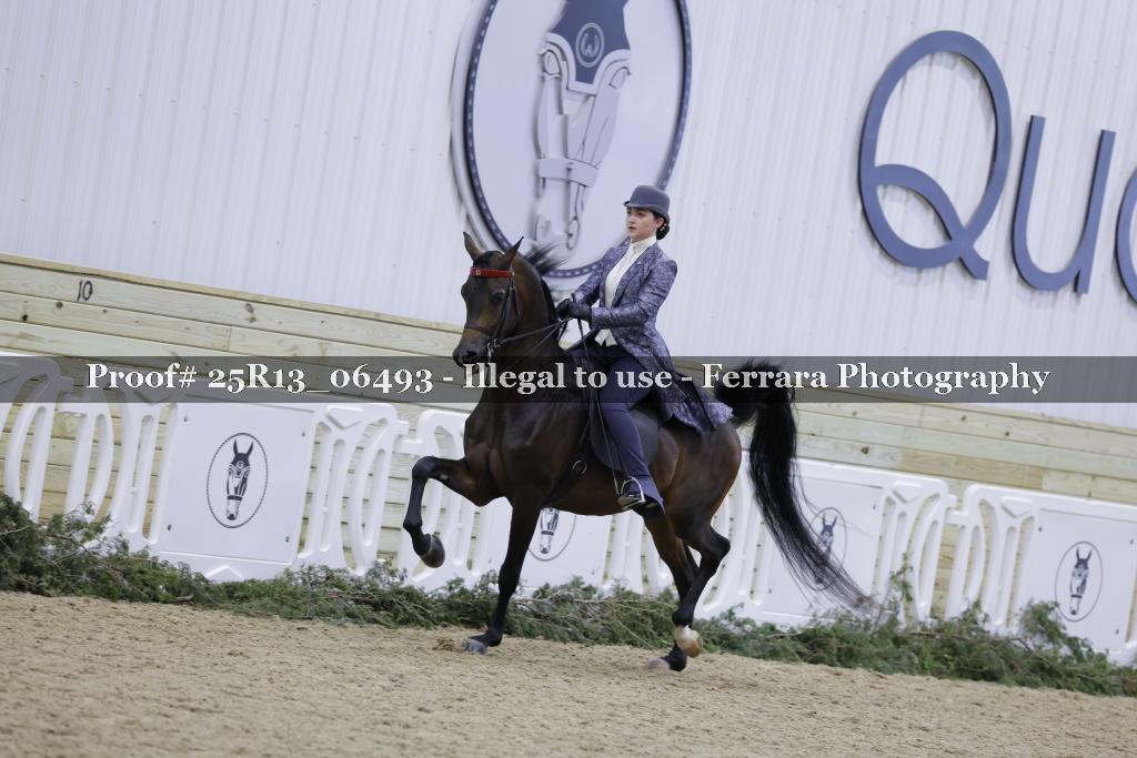 Proof 25R13_06493