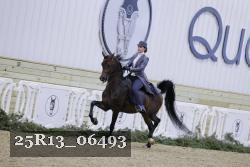25R13_06493 proof