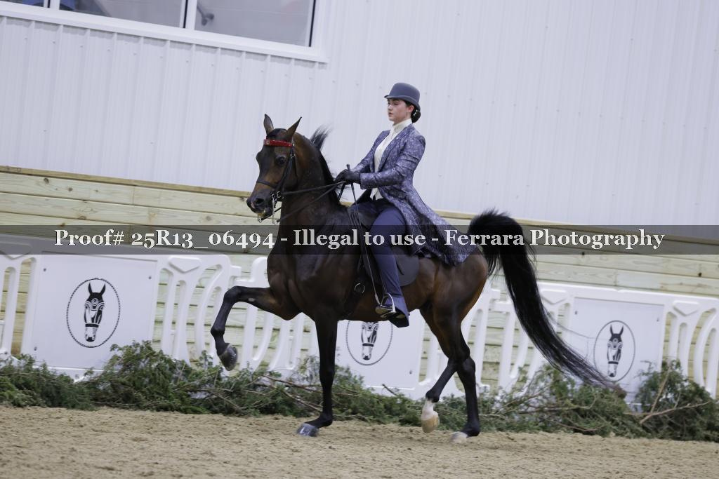 Proof 25R13_06494