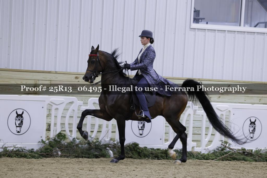 Proof 25R13_06495