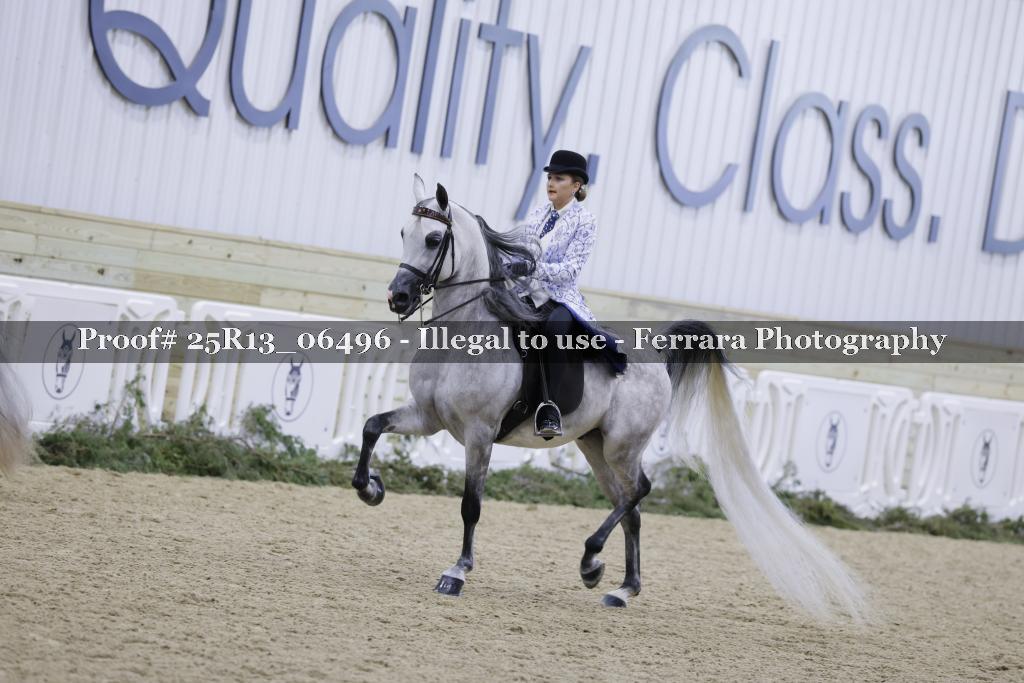 Proof 25R13_06496