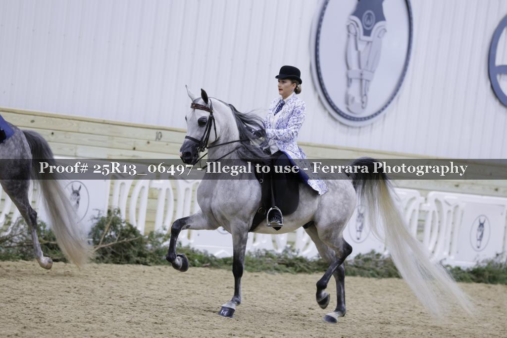 Proof 25R13_06497
