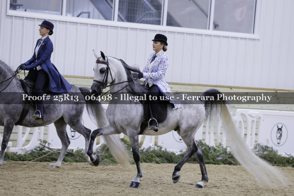 Proof 25R13_06498
