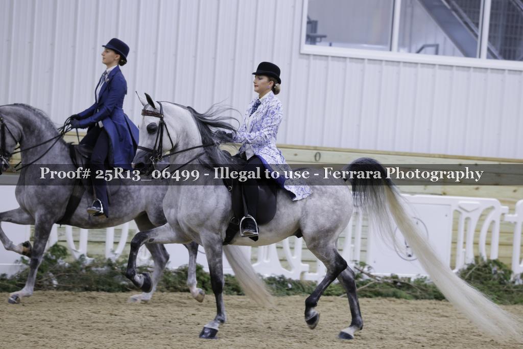 Proof 25R13_06499