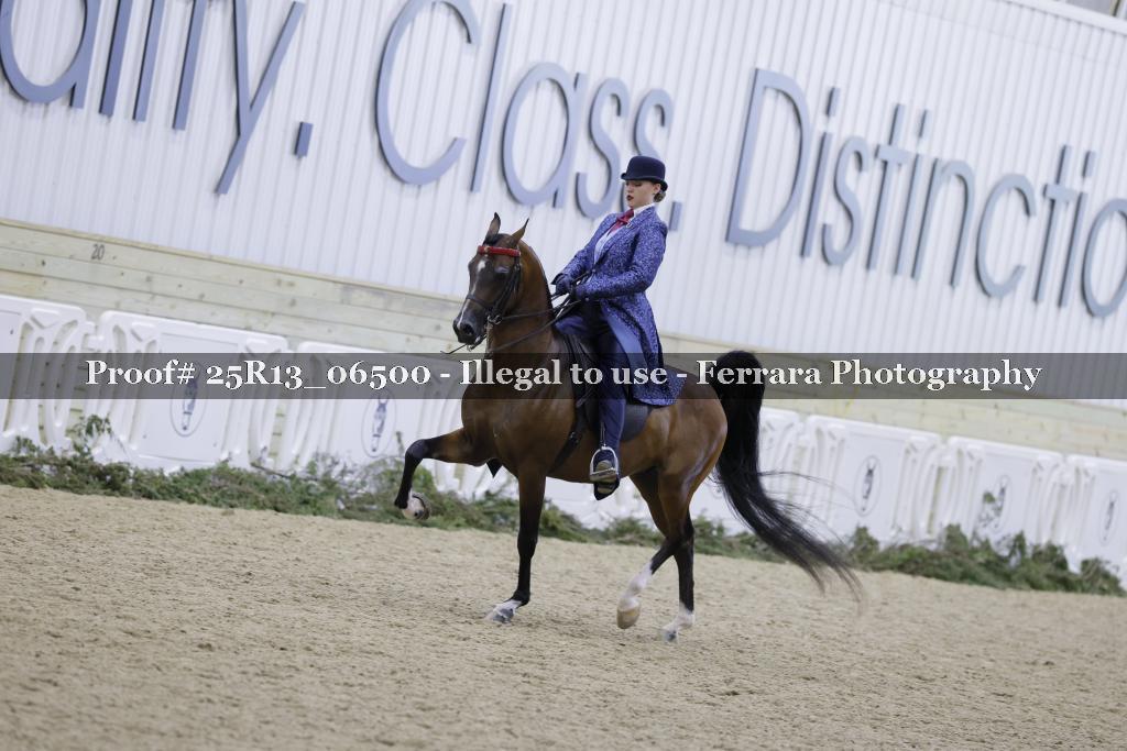 Proof 25R13_06500