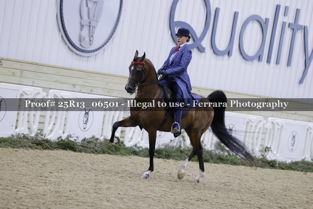 Proof 25R13_06501
