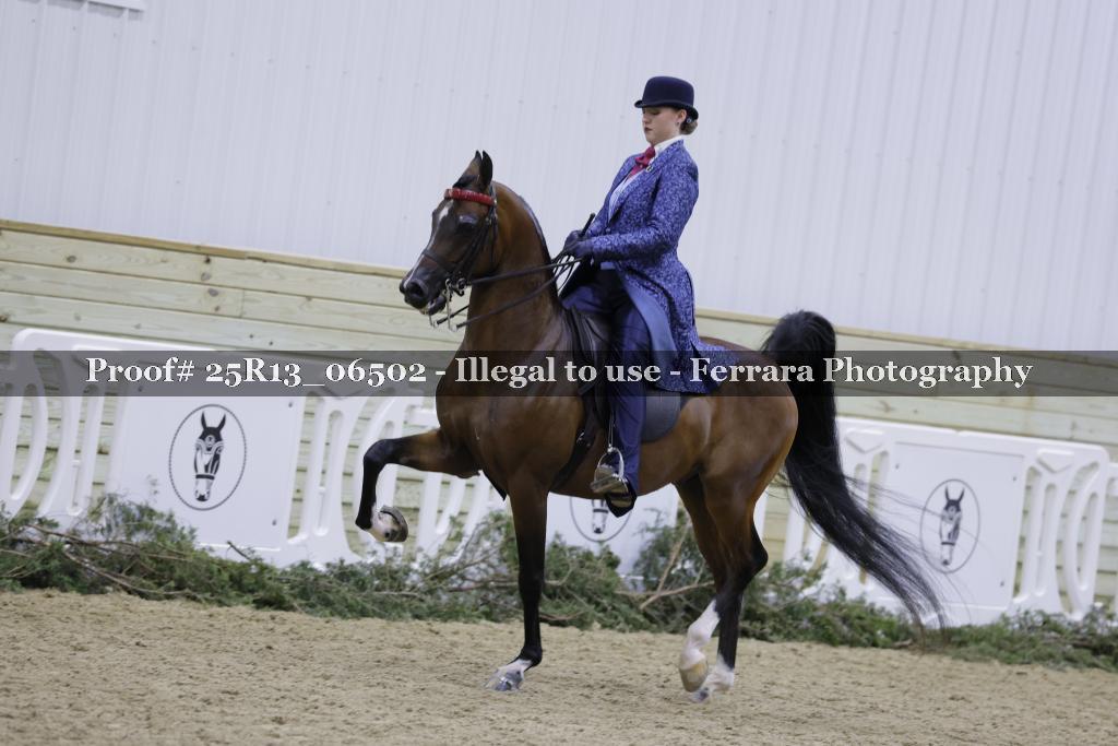 Proof 25R13_06502