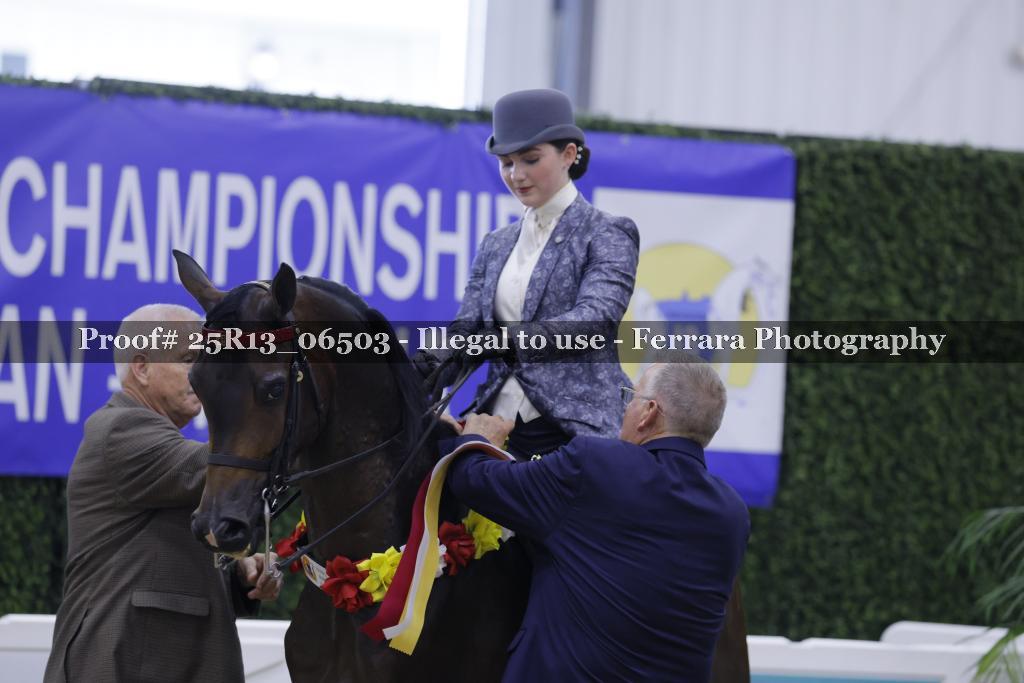 Proof 25R13_06503