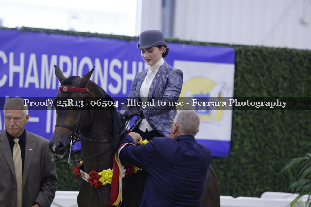 Proof 25R13_06504
