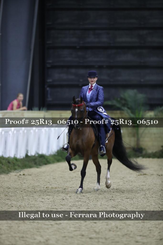 Proof 25R13_06510