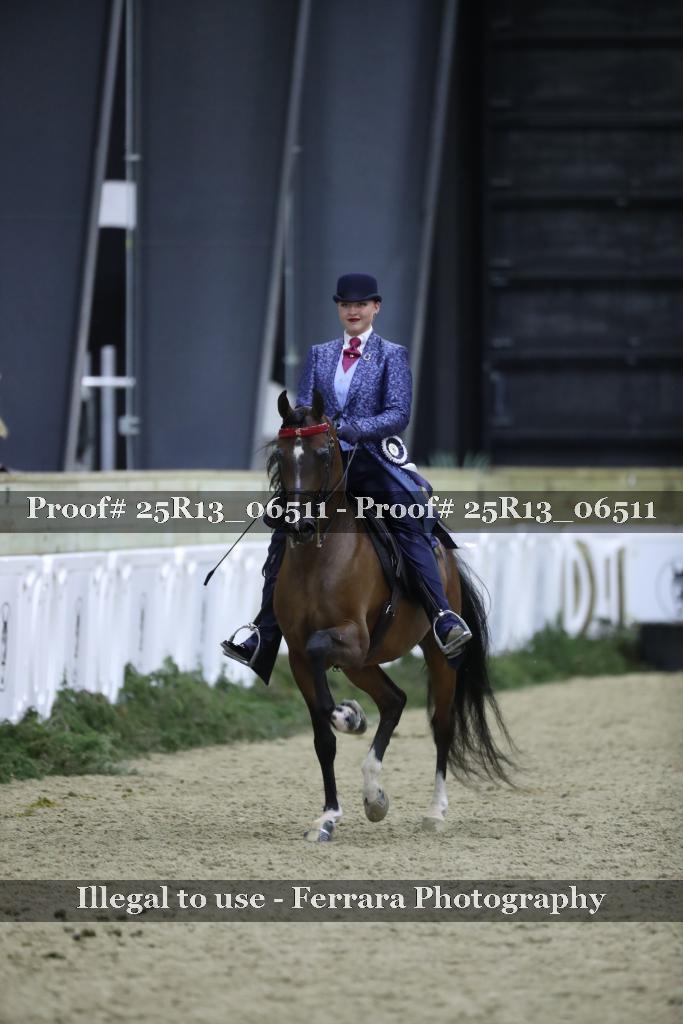 Proof 25R13_06511
