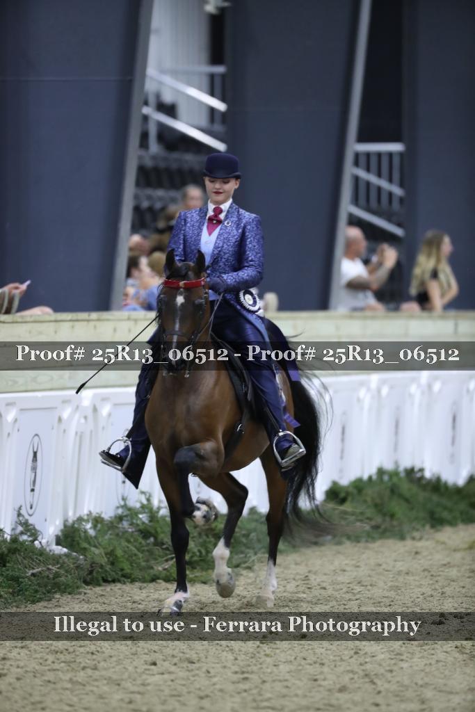 Proof 25R13_06512