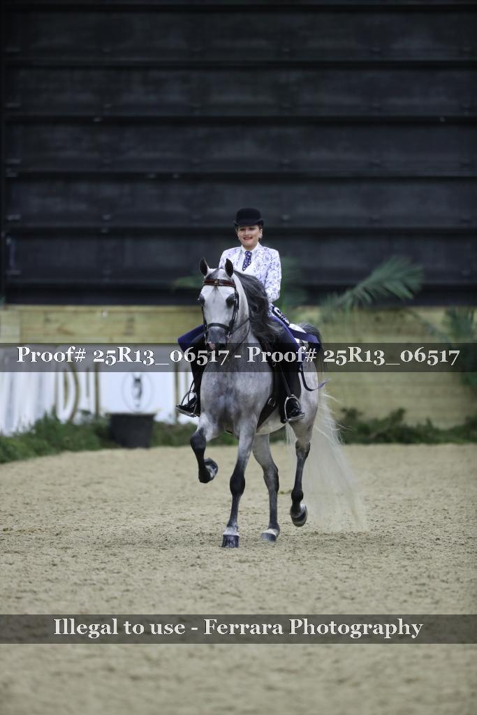 Proof 25R13_06517