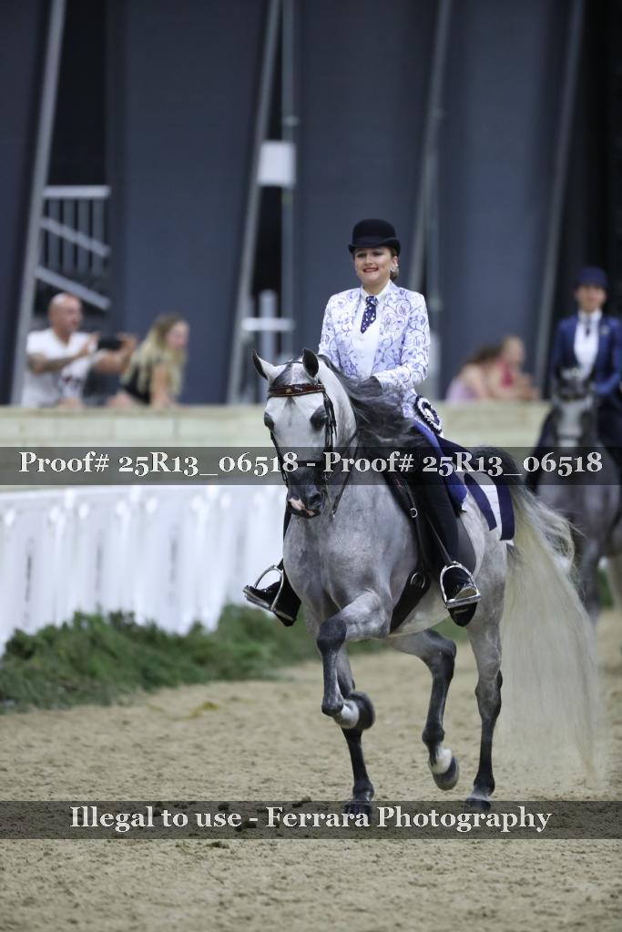 Proof 25R13_06518