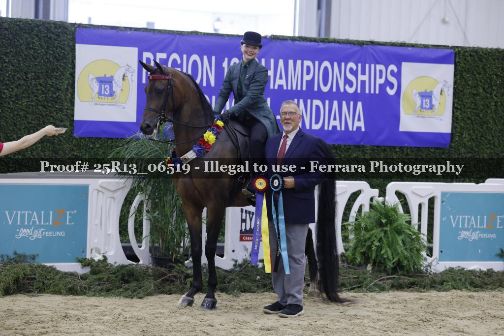 Proof 25R13_06519