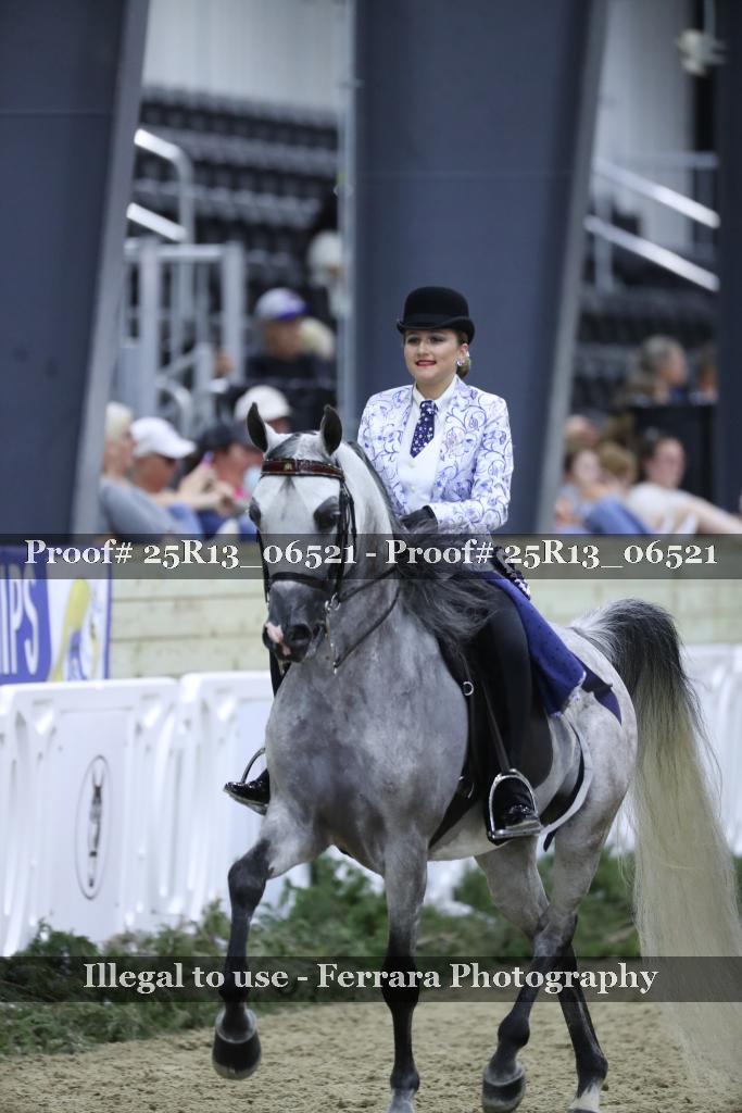 Proof 25R13_06521