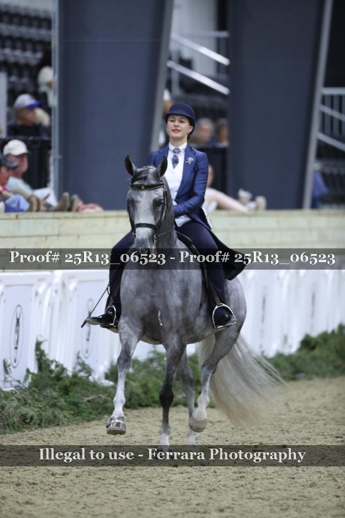Proof 25R13_06523