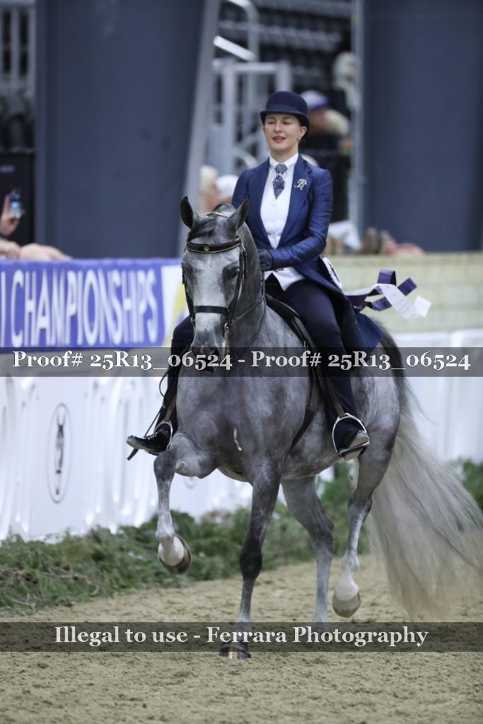 Proof 25R13_06524