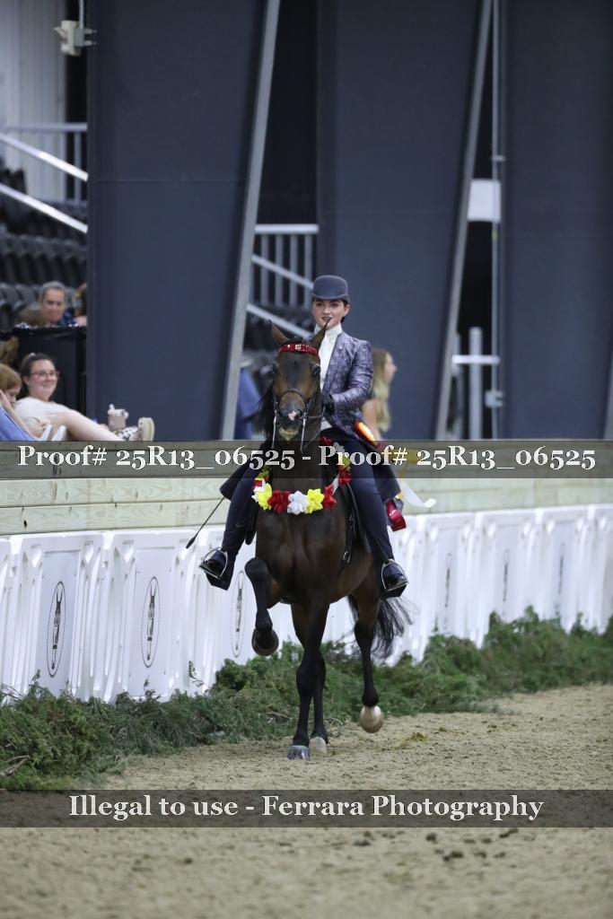Proof 25R13_06525