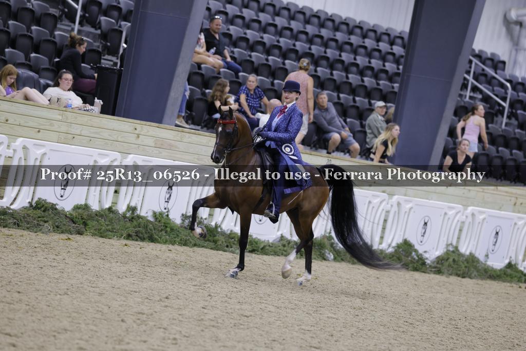 Proof 25R13_06526