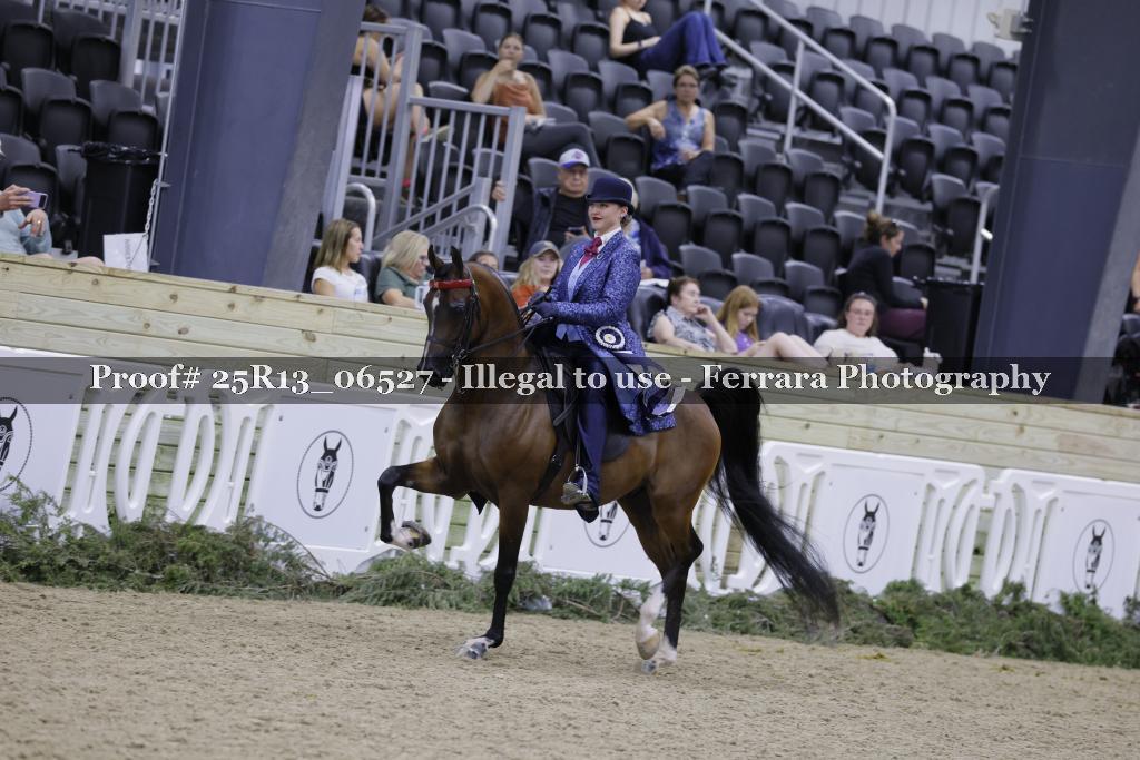 Proof 25R13_06527