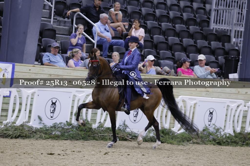 Proof 25R13_06528