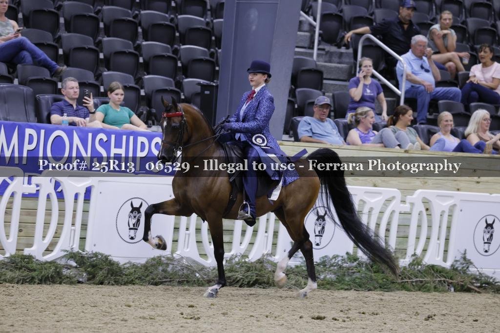 Proof 25R13_06529