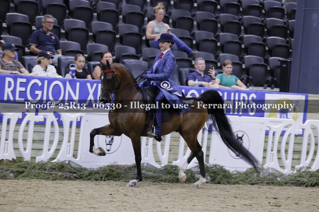 Proof 25R13_06530