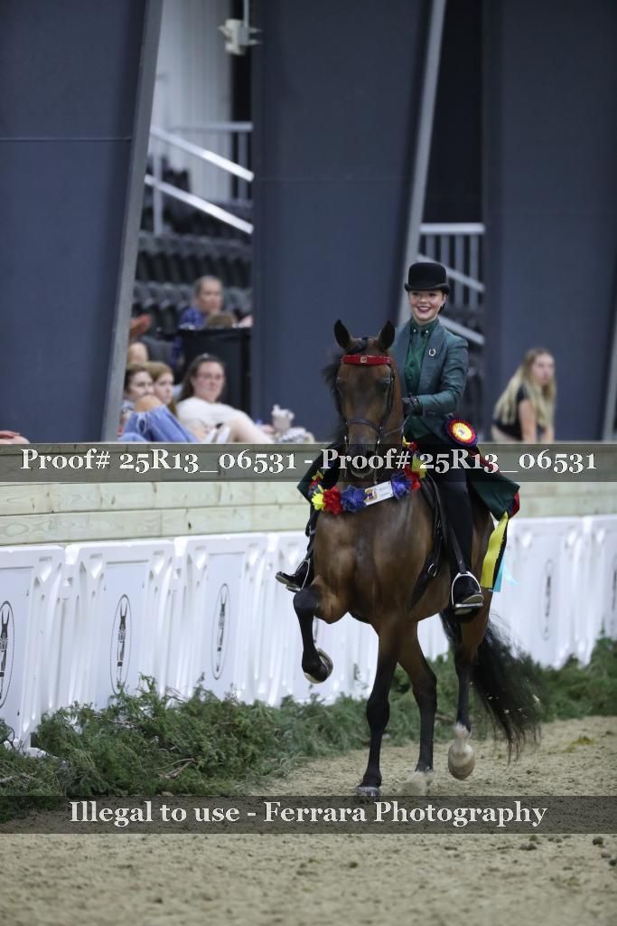 Proof 25R13_06531
