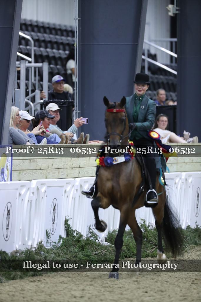Proof 25R13_06532